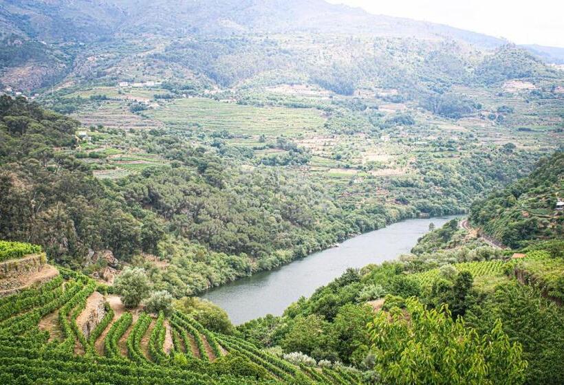 Casa Avós D Ouro   Barqueiros, Mesão Frio, Douro