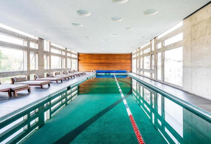 Departamento Con Las Mejores Vistas De La Ciudad En Condesa   Pool   Gym   Parking   Ac