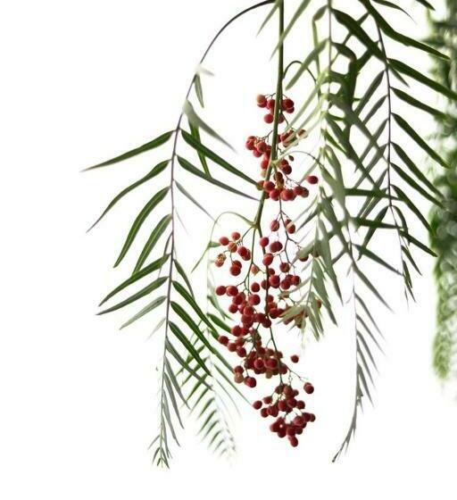 酒店 Agriturismo Pepe Rosa