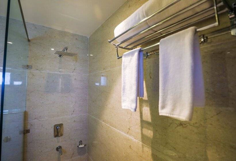 酒店 Regenta Place Shimla On Hilltop