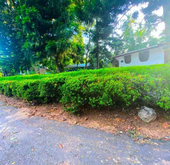 בית מלון כפרי Thanayama Monaragala