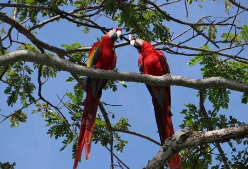 בית מלון כפרי Val