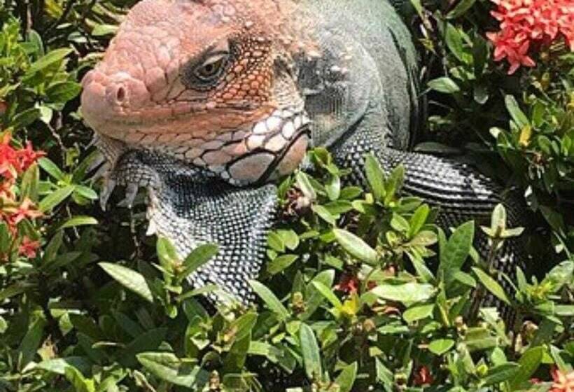 בית מלון כפרי Val