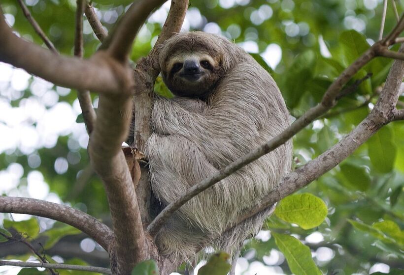 בית מלון כפרי Val