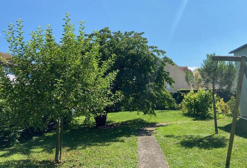 Magnifique Villa à 5 Minutes De Colmar