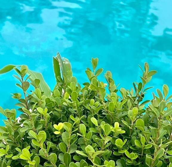 Mikipi Hotel Boutique