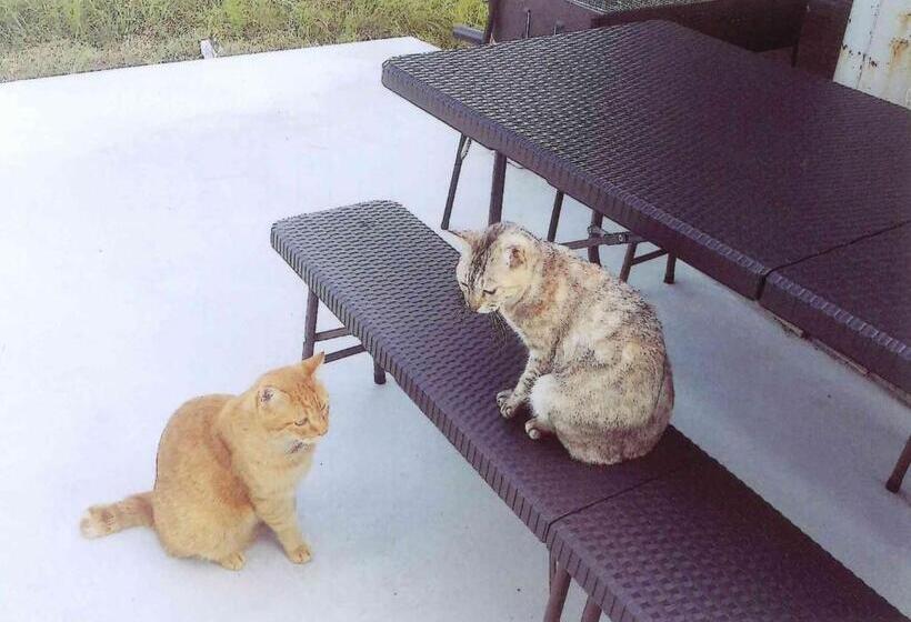 Minshuku Hiro   Vacation Stay 84405v