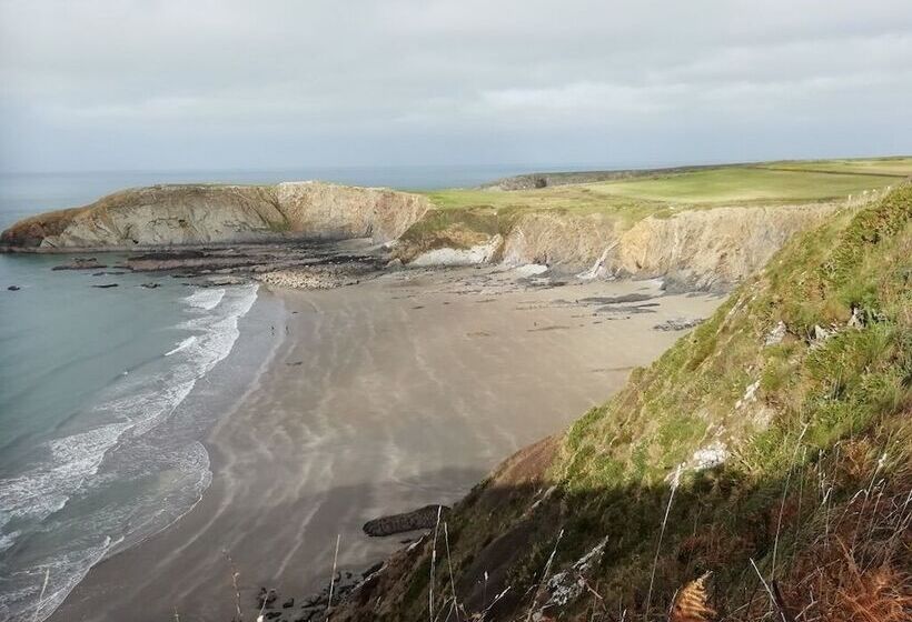 Nuthatch Lodge Is Set In 24 Acres Of Woodparkland Near The Village Of Cenarth