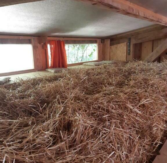 بنسيون La Ferme Du Bonheur   Chez L Gaby