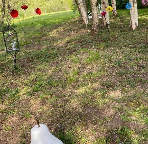 بنسيون Le Torcopel