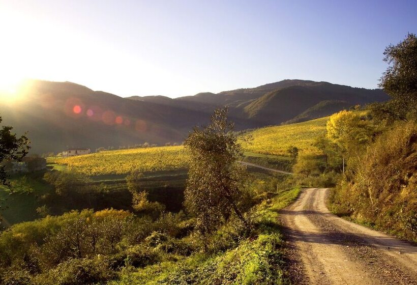 Agriturismo Colognole