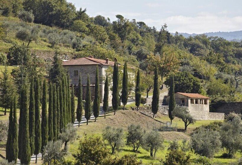 Agriturismo Colognole