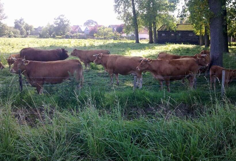 Apart Hotel Het Veerse Meer