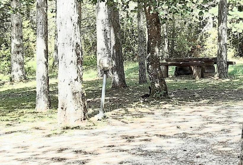 Apartments Nova Lika