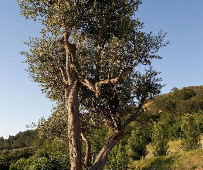 مبيت وإفطار Agriturismo Il Falco