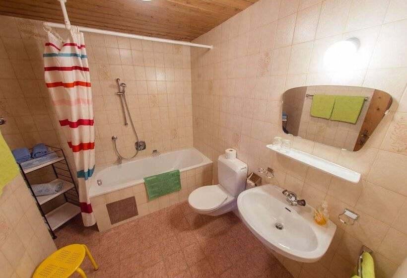 צימר Europa Pension Tirol