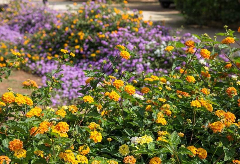 住宿加早餐  Masseria Saietti