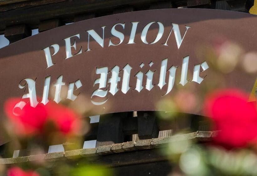 צימר Pension Alte Mühle