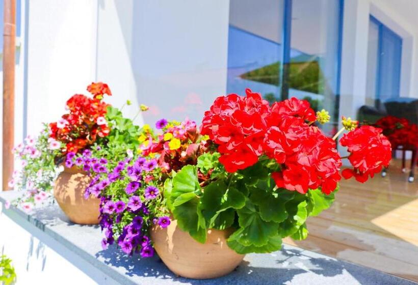 住宿加早餐  Pension Reiter Moravec