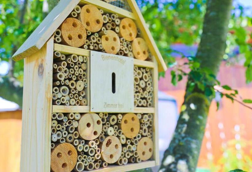 住宿加早餐  Pension Reiter Moravec