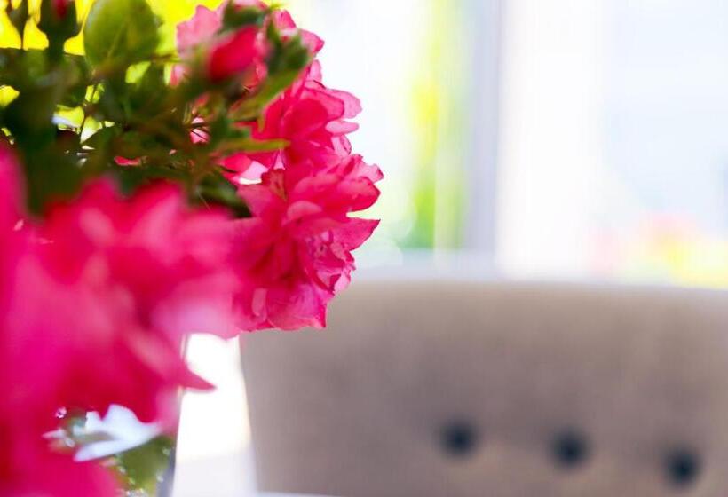 住宿加早餐  Pension Reiter Moravec