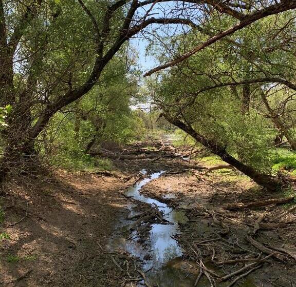 Bernstein Motel Marchegg