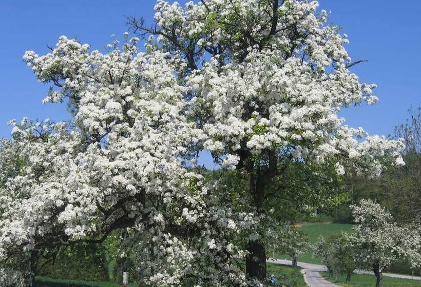 Biobauernhof Wolf Hof