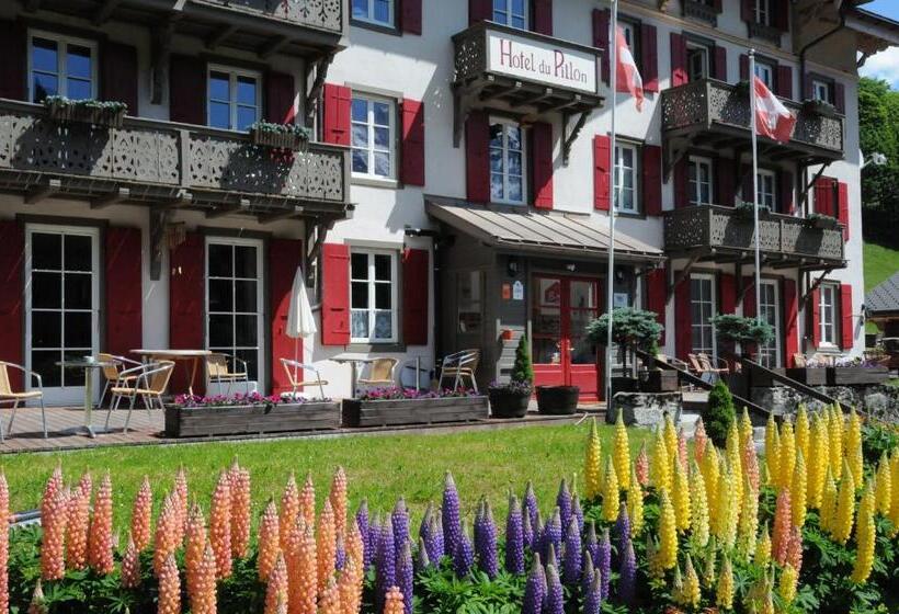 Historic Hotel Du Pillon