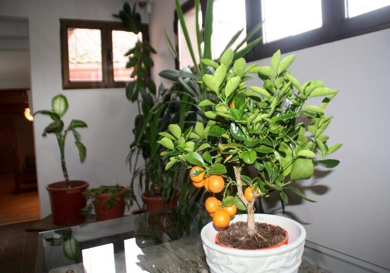 مسافرخانه Venta Magullo