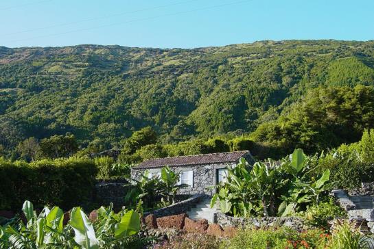 酒店 Adegas Do Pico  514262087