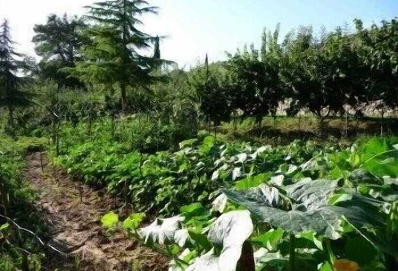 فندق Agriturismo San Bernardino Del Lago