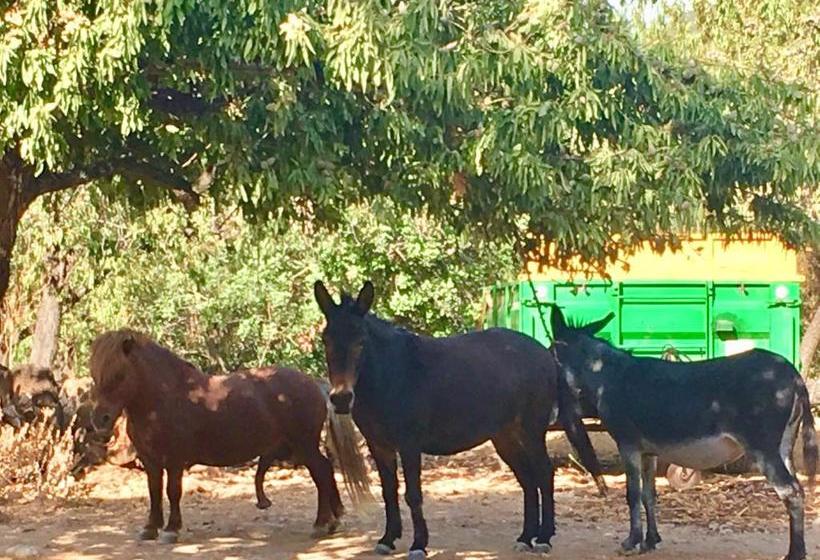 ホテル Agroturismo Son Penyaflor