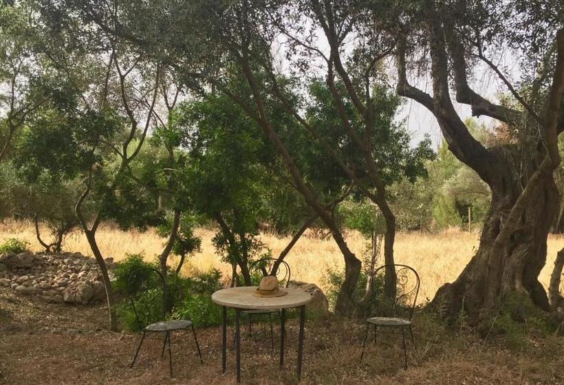 ホテル Agroturismo Son Penyaflor