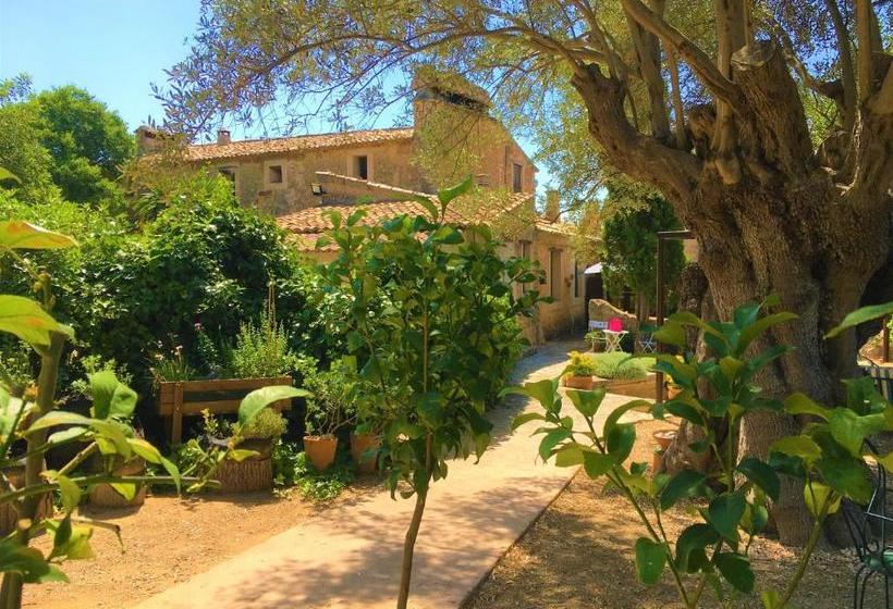 ホテル Agroturismo Son Penyaflor