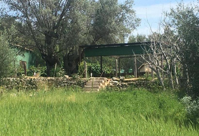 ホテル Agroturismo Son Penyaflor