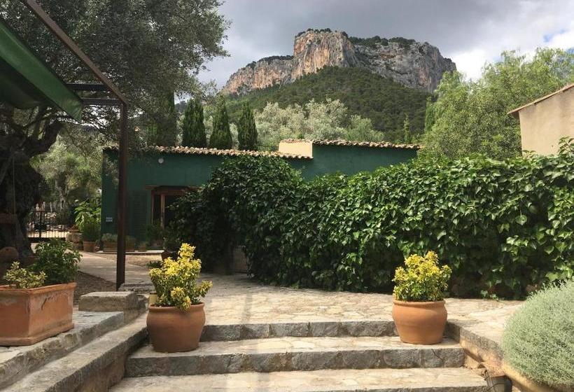 ホテル Agroturismo Son Penyaflor