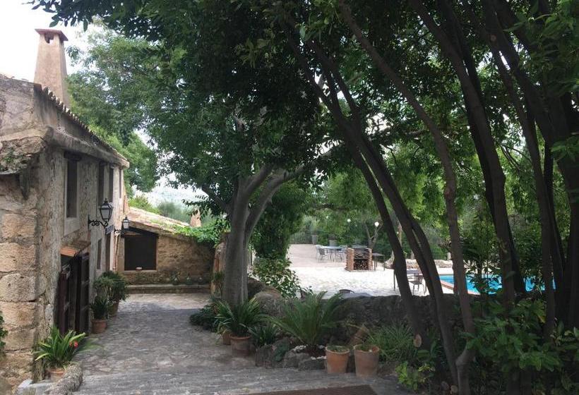 ホテル Agroturismo Son Penyaflor