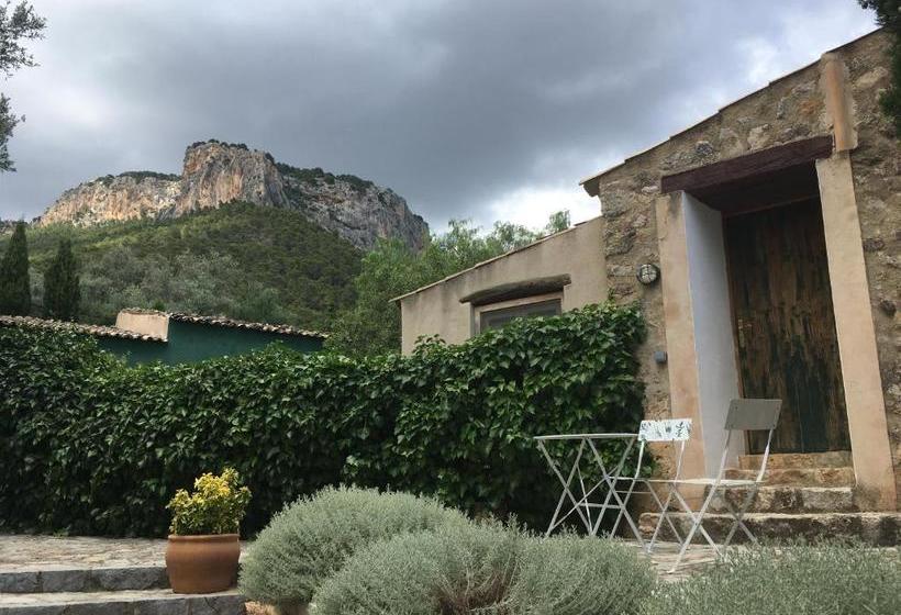 ホテル Agroturismo Son Penyaflor