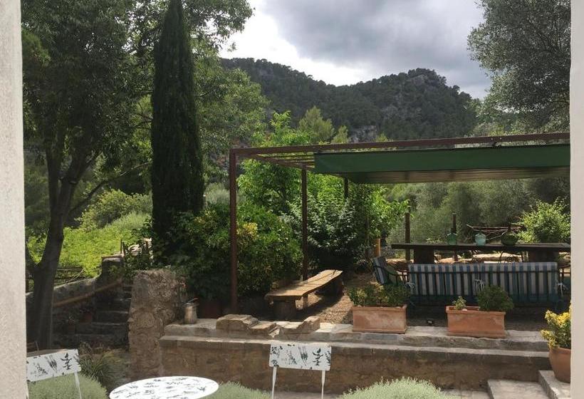 ホテル Agroturismo Son Penyaflor