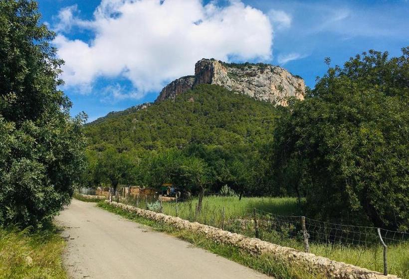 ホテル Agroturismo Son Penyaflor