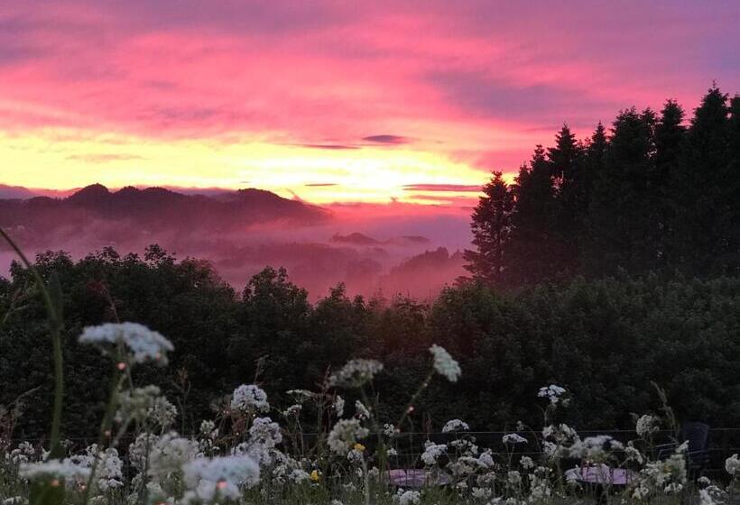 בית מלון כפרי Alver