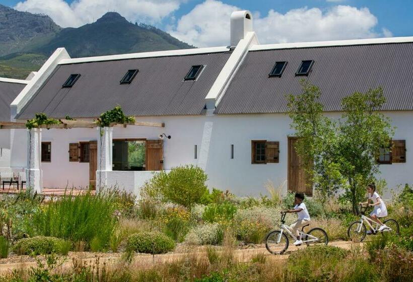 호텔 Babylonstoren