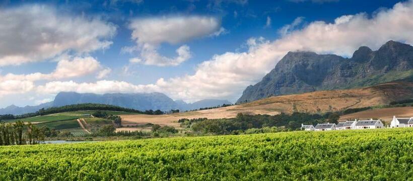 호텔 Babylonstoren