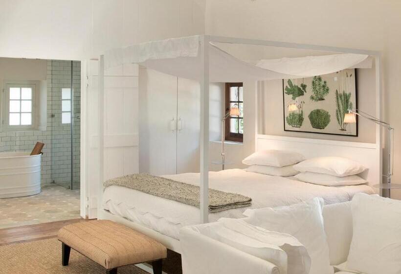 호텔 Babylonstoren