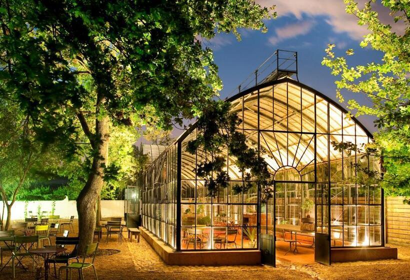 호텔 Babylonstoren