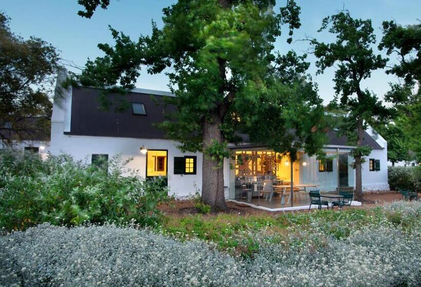 호텔 Babylonstoren