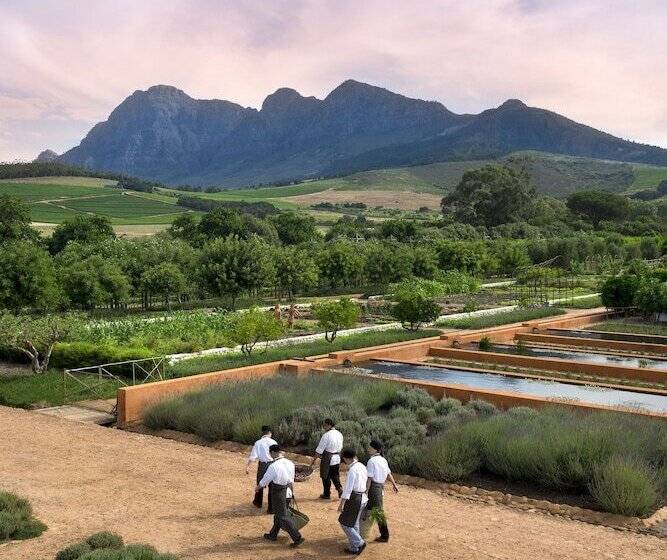 호텔 Babylonstoren