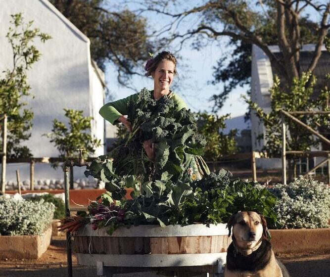 호텔 Babylonstoren