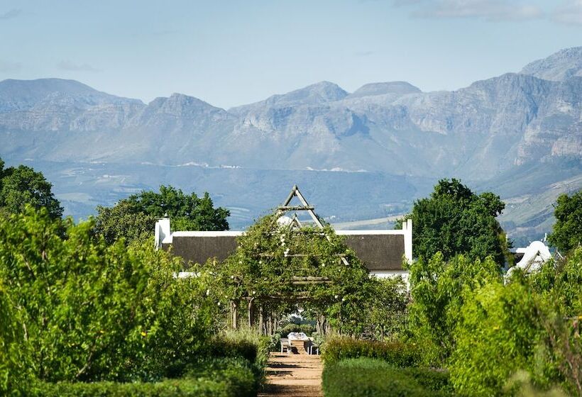 호텔 Babylonstoren