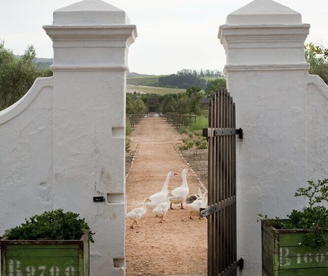 호텔 Babylonstoren